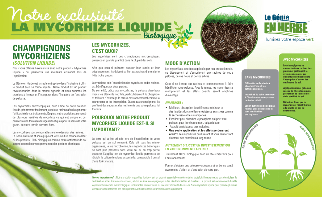 Explication sur le digitaire - Entretien pelouse Laval