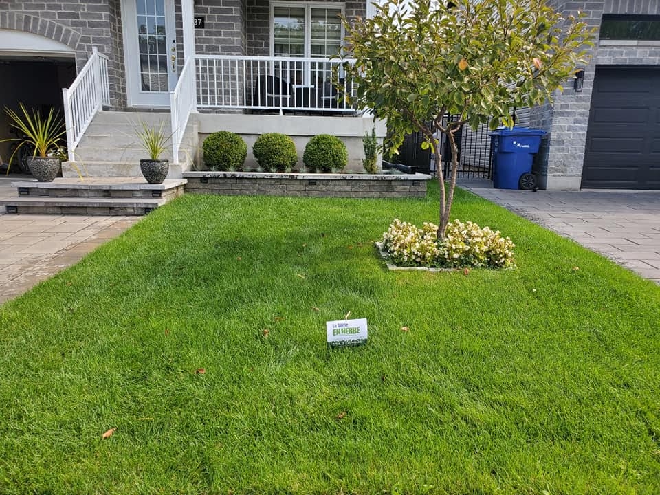 pelouse laval
