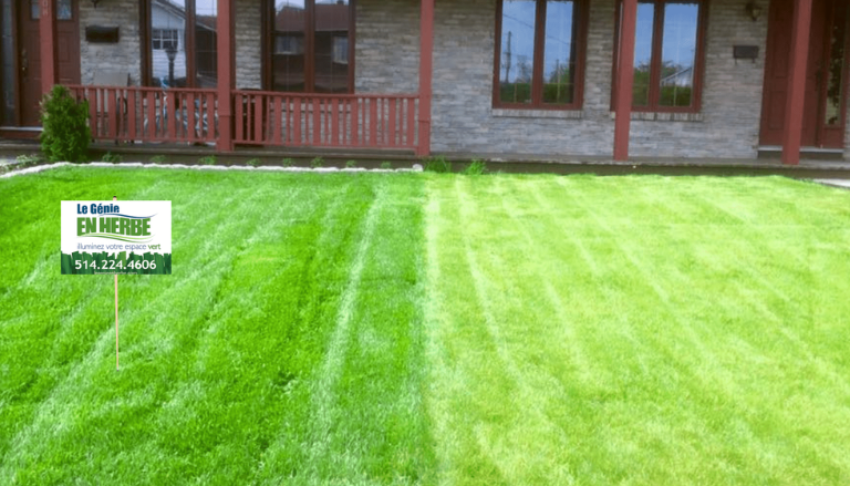 fertilisation pelouse québec Le Génie en Herbe