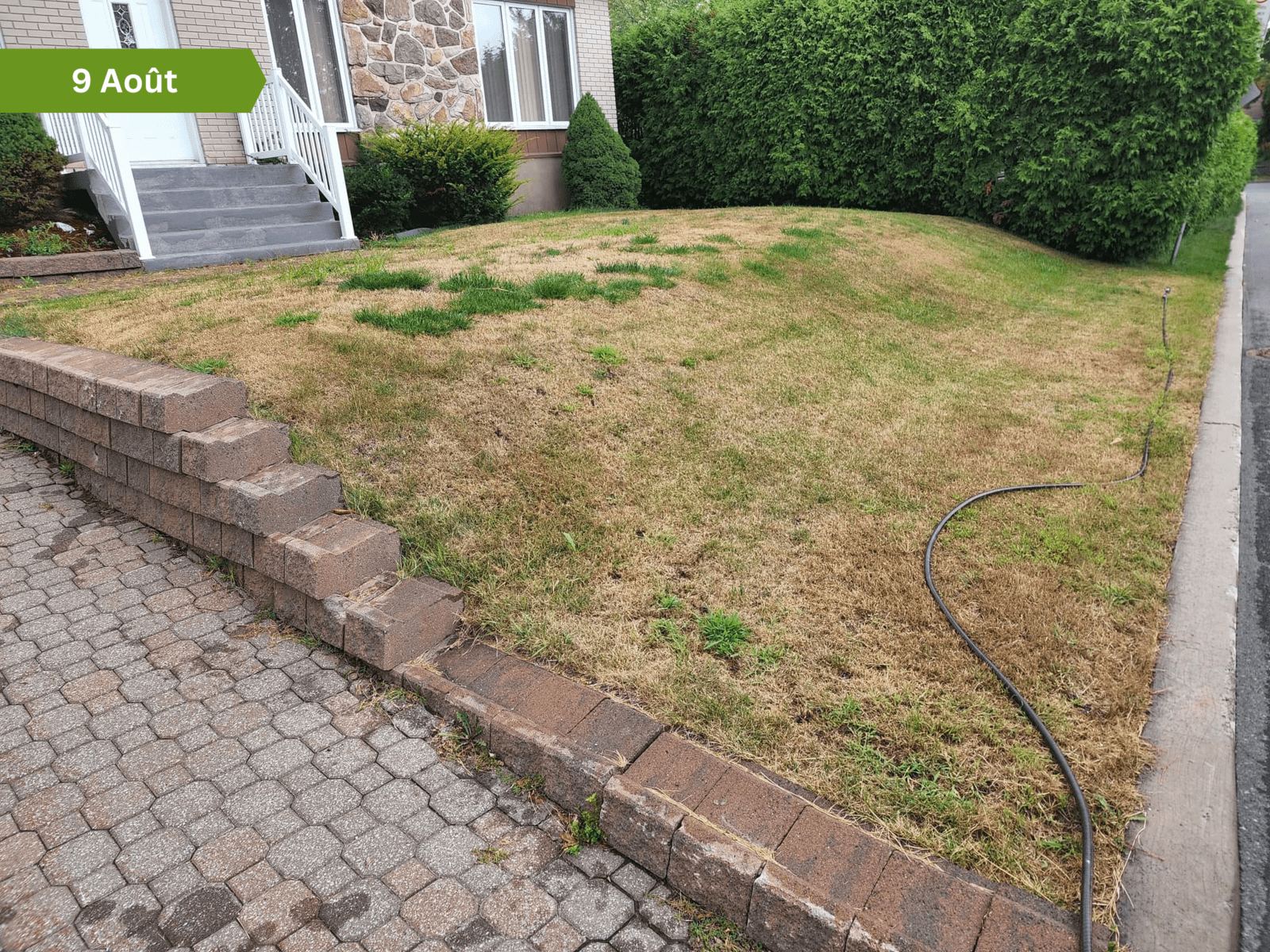 image-before