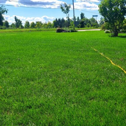 entretien de la pelouse Le Génie en Herbe