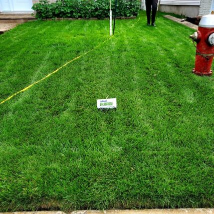 entretenir le gazon Le Génie en Herbe