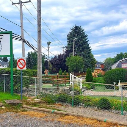 entretenir le gazon Le Génie en Herbe