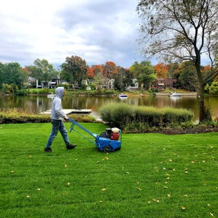 gazon vert Le Génie en Herbe