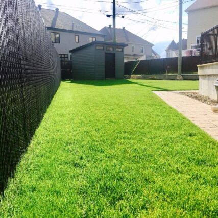 entretien de pelouse Le Génie en Herbe