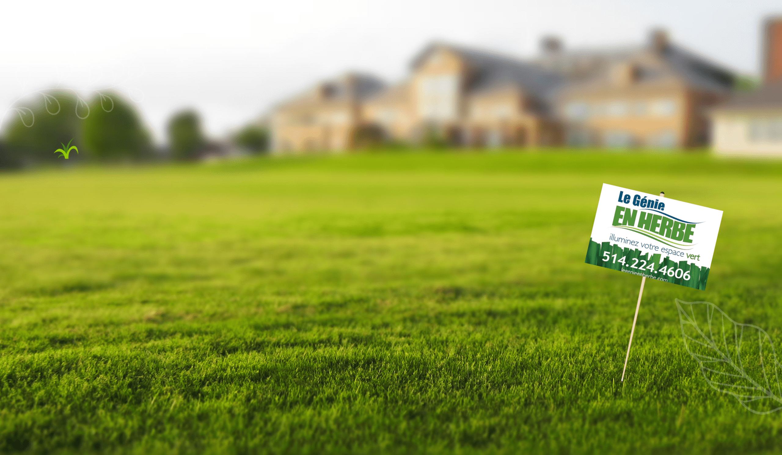 Pelouse verte entretenue par Le Génie en Herbe à Laval